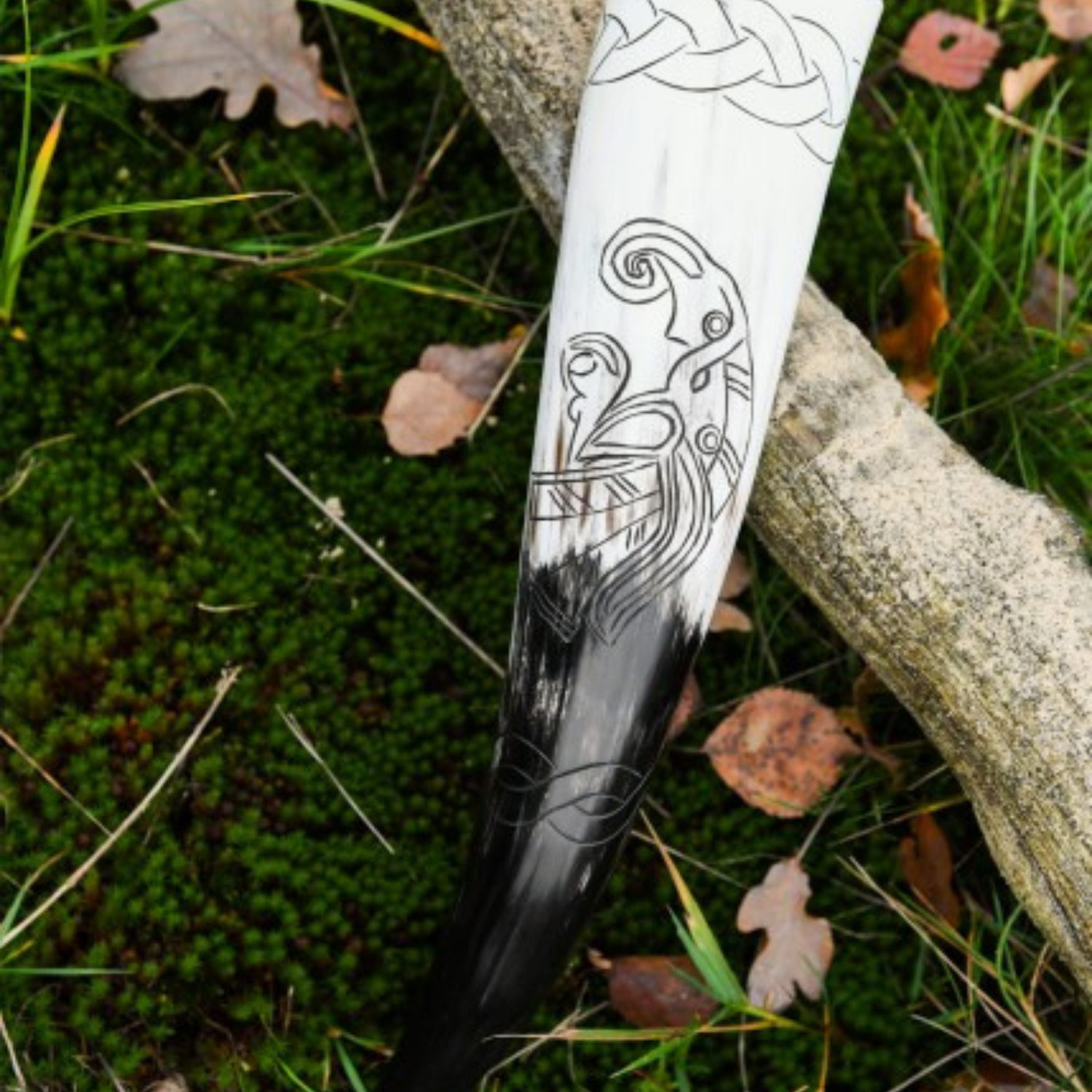 Wikinger-Trinkhorn mit Rabenmotiv schön herbstlich drapiert