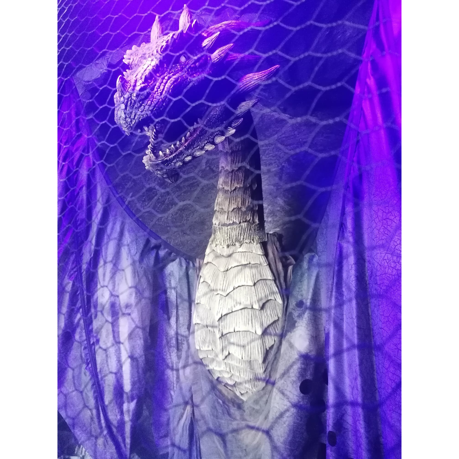 Walddrache, animiert
