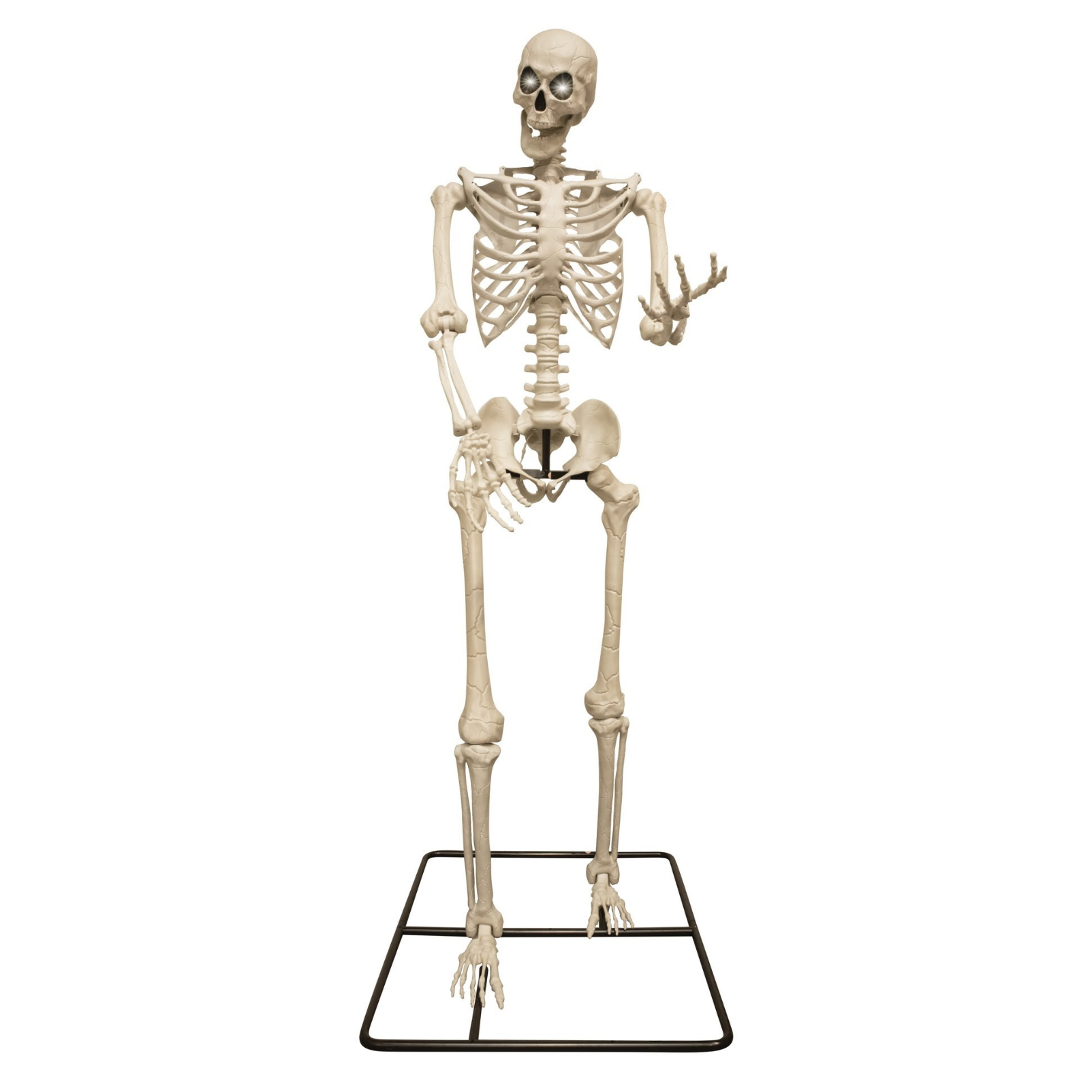 Riesen Skelett Kevin, 318cm, Licht