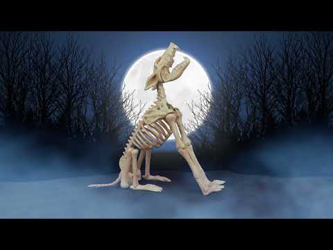 Shadow, der heulende Wolf animiertes Skelett, 80 cm