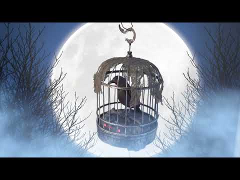 Krähe im Käfig, 32 cm, animiert