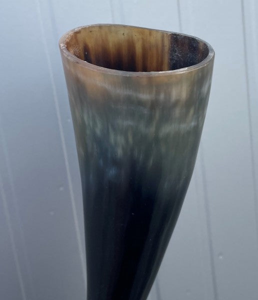 Trinkhorn, verschiedene Größen