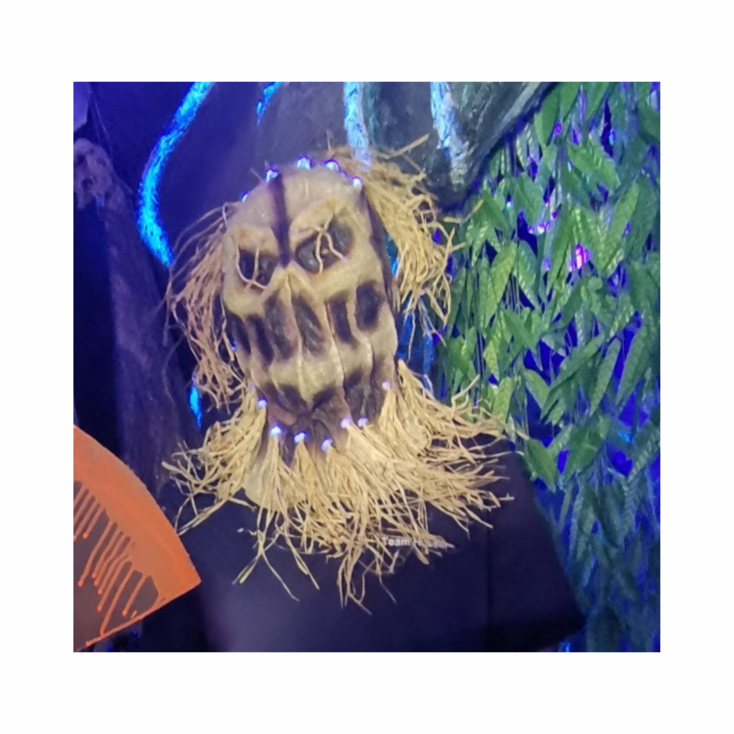 Horror Vogelscheuchen Maske