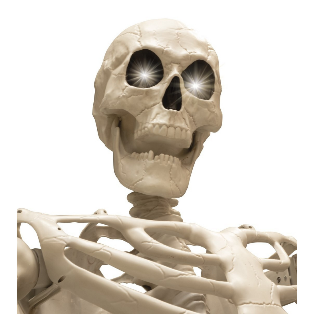 Riesen Skelett Kevin, 318cm, Licht