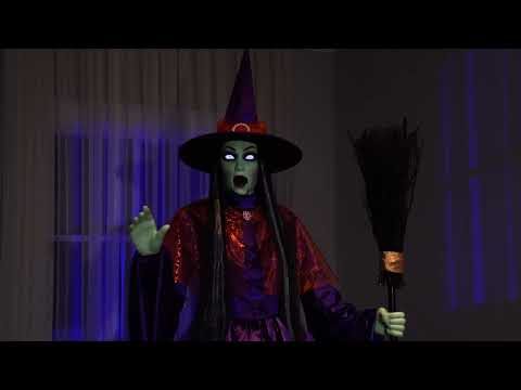 Hexe Wanda mit Besen, animiert